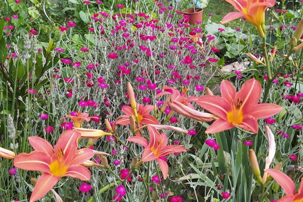 Gite Les Lilas La Genevraye Exteriér fotografie